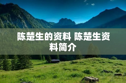陈楚生的资料 陈楚生资料简介