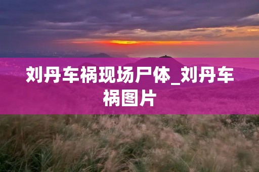 刘丹车祸现场尸体_刘丹车祸图片