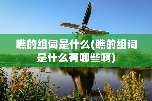 瞧的组词是什么(瞧的组词是什么有哪些啊)