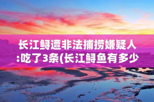 长江鲟遭非法捕捞嫌疑人:吃了3条(长江鲟鱼有多少品种) 长江鲟遭非法捕捞嫌疑人:吃了3条(长江鲟鱼有多少品种)
