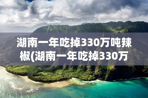 湖南一年吃掉330万吨辣椒(湖南一年吃掉330万吨辣椒9)