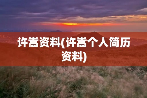 许嵩资料(许嵩个人简历资料)