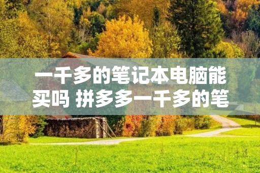 一千多的笔记本电脑能买吗 拼多多一千多的笔记本电脑能买吗