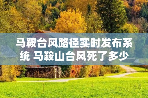 马鞍台风路径实时发布系统 马鞍山台风死了多少人