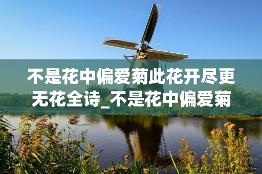 不是花中偏爱菊此花开尽更无花全诗_不是花中偏爱菊此花开尽无更无花