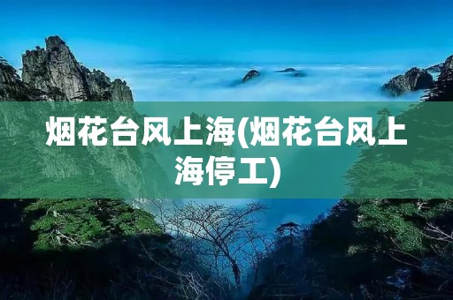 烟花台风上海(烟花台风上海停工)