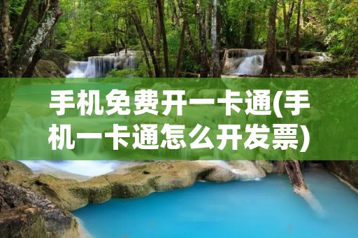 手机免费开一卡通(手机一卡通怎么开发票)