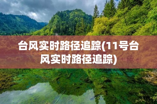 台风实时路径追踪(11号台风实时路径追踪) 台风实时路径追踪(11号台风实时路径追踪)