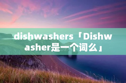dishwashers「Dishwasher是一个词么」