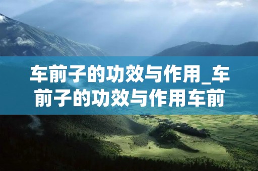 车前子的功效与作用_车前子的功效与作用车前草图片 车前子的功效与作用_车前子的功效与作用车前草图片