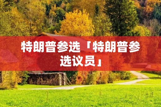 特朗普参选「特朗普参选议员」 特朗普参选「特朗普参选议员」