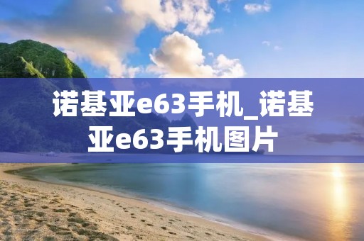 诺基亚e63手机_诺基亚e63手机图片