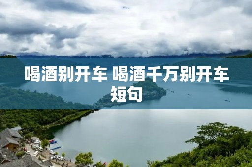 喝酒别开车 喝酒千万别开车短句