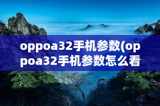 oppoa32手机参数(oppoa32手机参数怎么看)