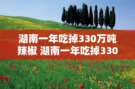 湖南一年吃掉330万吨辣椒 湖南一年吃掉330万吨辣椒∴凉