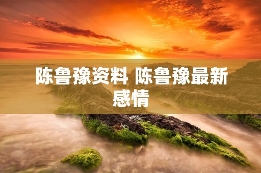 陈鲁豫资料 陈鲁豫最新感情