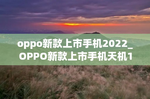 oppo新款上市手机2022_OPPO新款上市手机天机1300旗舰芯片和天玑8000哪个好
