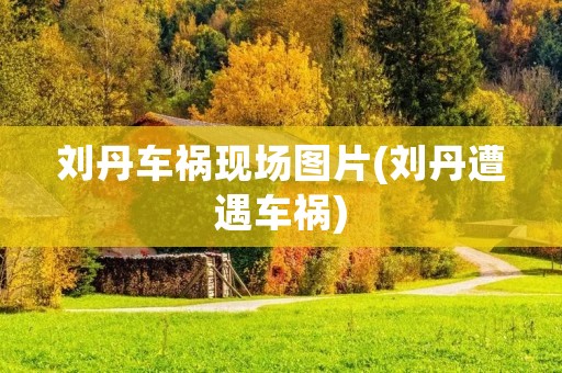 刘丹车祸现场图片(刘丹遭遇车祸)