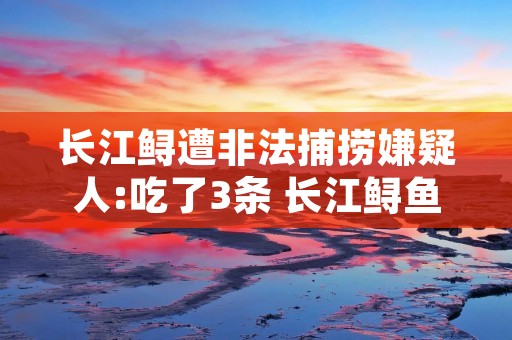 长江鲟遭非法捕捞嫌疑人:吃了3条 长江鲟鱼有多少品种