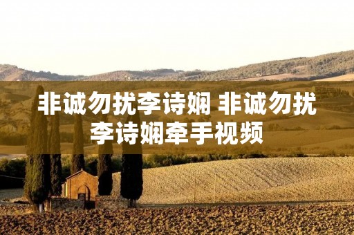 非诚勿扰李诗娴 非诚勿扰李诗娴牵手视频