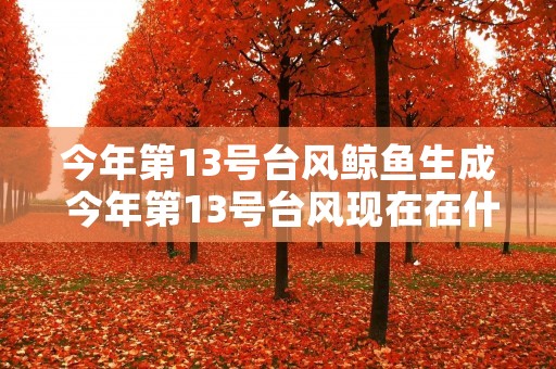 今年第13号台风鲸鱼生成 今年第13号台风现在在什么位置
