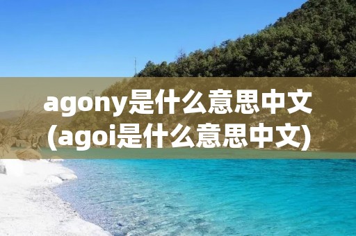 agony是什么意思中文(agoi是什么意思中文)