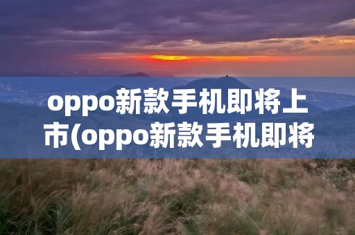 oppo新款手机即将上市(oppo新款手机即将上市是哪一款)