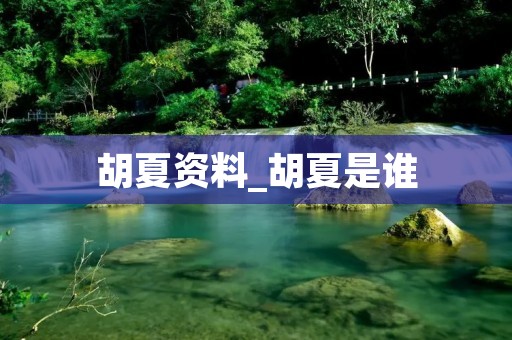 胡夏资料_胡夏是谁