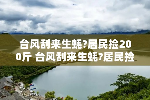 台风刮来生蚝?居民捡200斤 台风刮来生蚝?居民捡200斤麸炒积壳的功效
