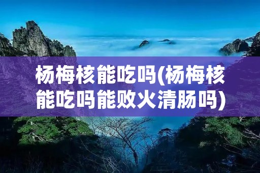 杨梅核能吃吗(杨梅核能吃吗能败火清肠吗)
