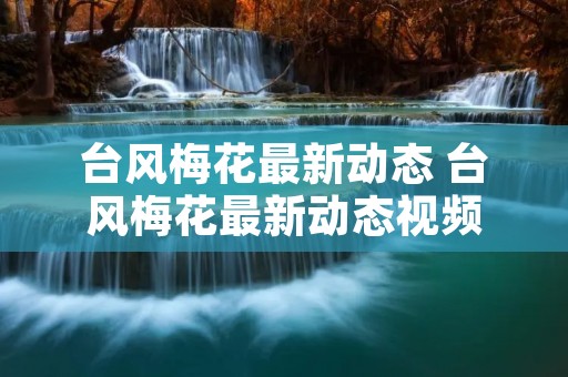 台风梅花最新动态 台风梅花最新动态视频