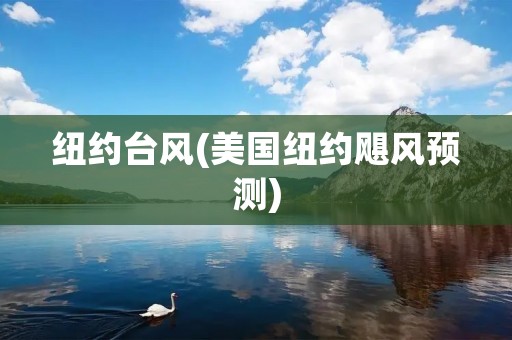 纽约台风(美国纽约飓风预测) 纽约台风(美国纽约飓风预测)