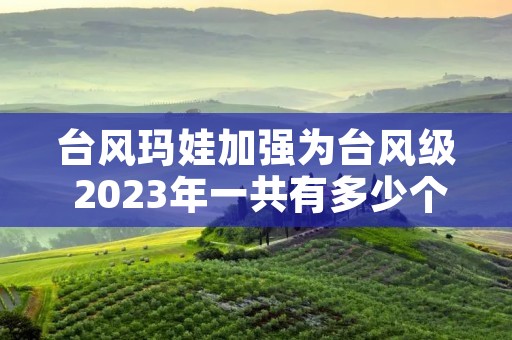 台风玛娃加强为台风级 2023年一共有多少个台风