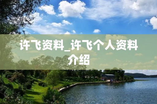 许飞资料_许飞个人资料介绍