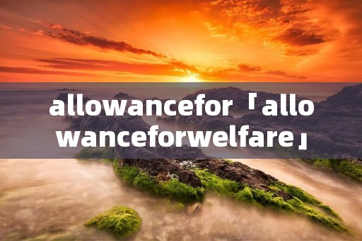 allowancefor「allowanceforwelfare」