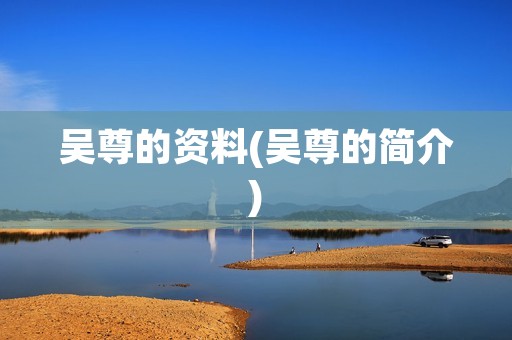 吴尊的资料(吴尊的简介)