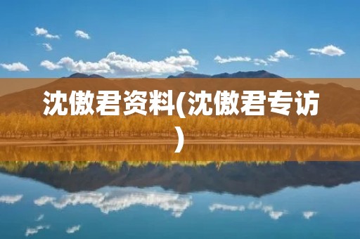 沈傲君资料(沈傲君专访)