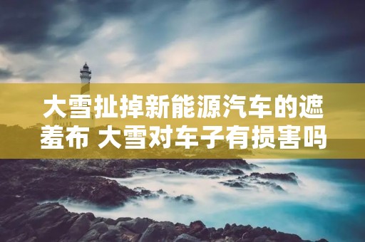 大雪扯掉新能源汽车的遮羞布 大雪对车子有损害吗