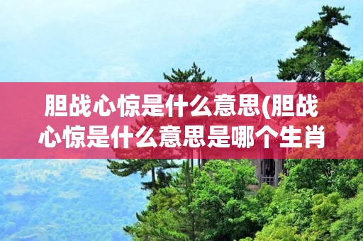 胆战心惊是什么意思(胆战心惊是什么意思是哪个生肖)