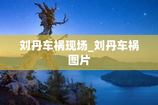 刘丹车祸现场_刘丹车祸图片