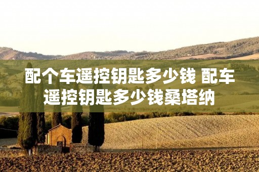 配个车遥控钥匙多少钱 配车遥控钥匙多少钱桑塔纳