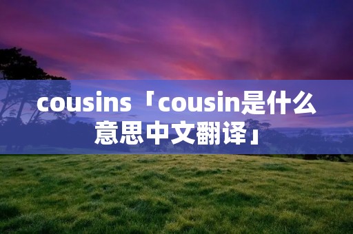cousins「cousin是什么意思中文翻译」