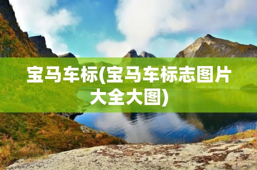 宝马车标(宝马车标志图片大全大图)