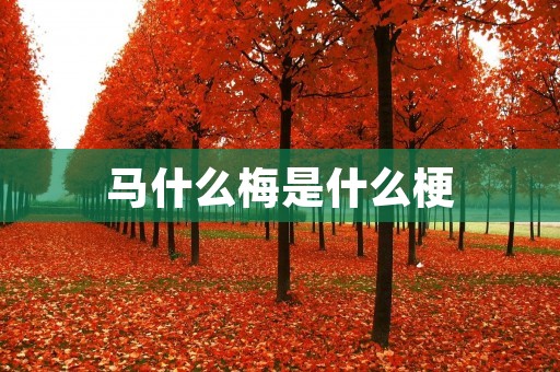马什么梅是什么梗 马什么梅是什么梗