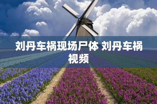 刘丹车祸现场尸体 刘丹车祸视频