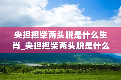 尖担担柴两头脱是什么生肖_尖担担柴两头脱是什么生肖动物