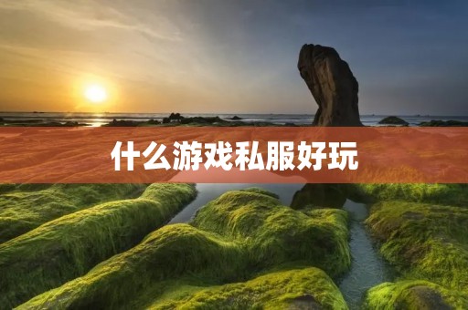 什么游戏私服好玩 什么游戏私服好玩
