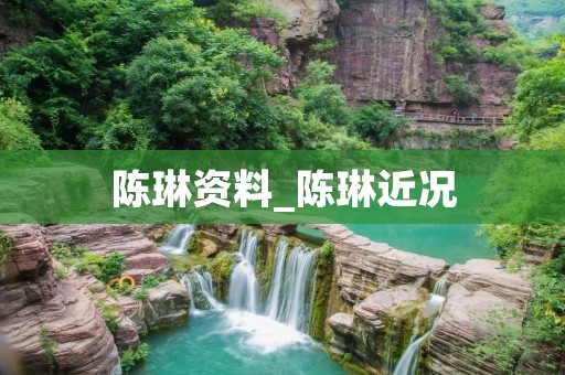 陈琳资料_陈琳近况 陈琳资料_陈琳近况