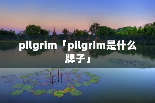 pilgrim「pilgrim是什么牌子」