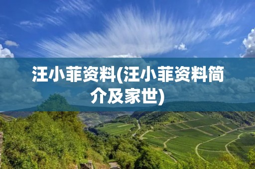 汪小菲资料(汪小菲资料简介及家世)